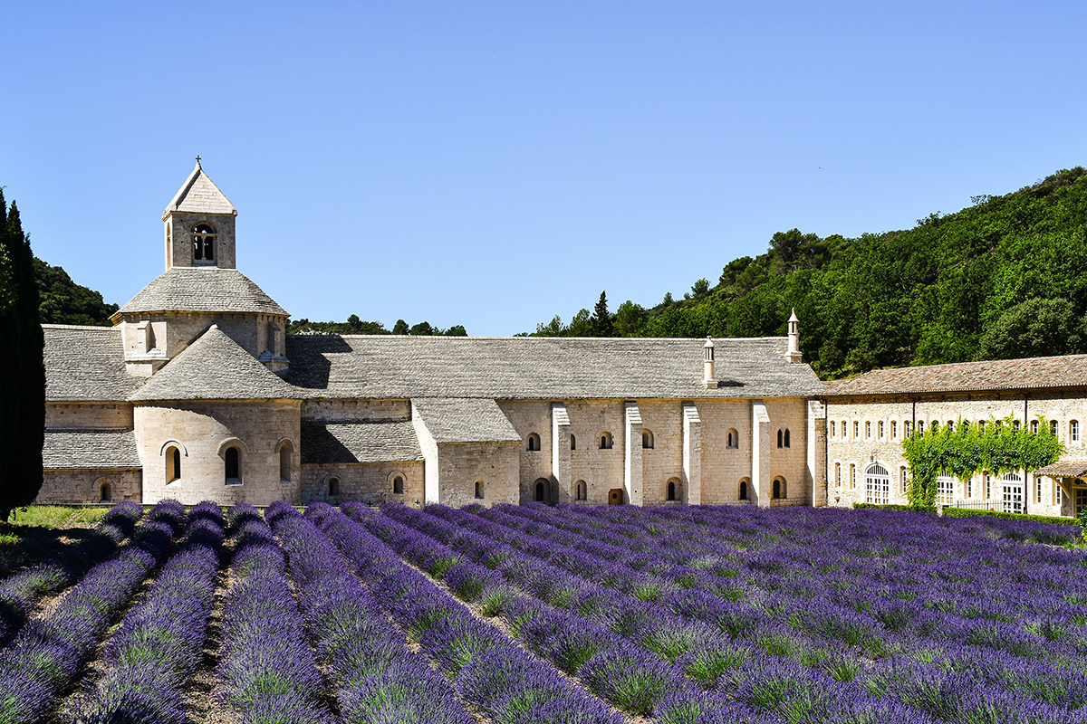 5 Dias de Charme pela Provence